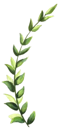 Soraya Veda – Energie Heilung – leaf